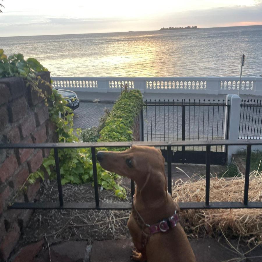 Terraza Sacramento - Atardecer En El Barrio Historico Villa Colonia del Sacramento Bagian luar foto